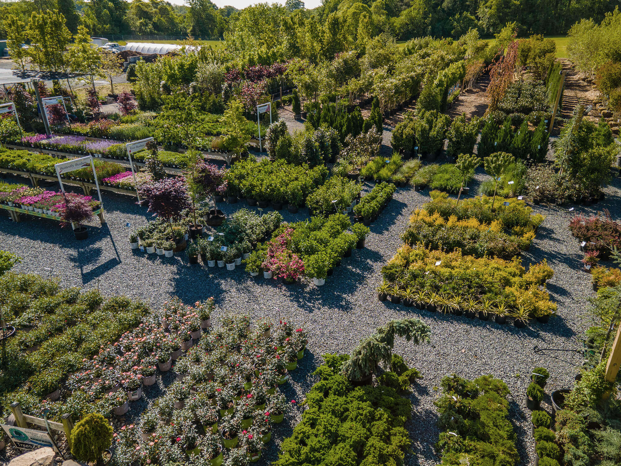 Welcome to Our Store